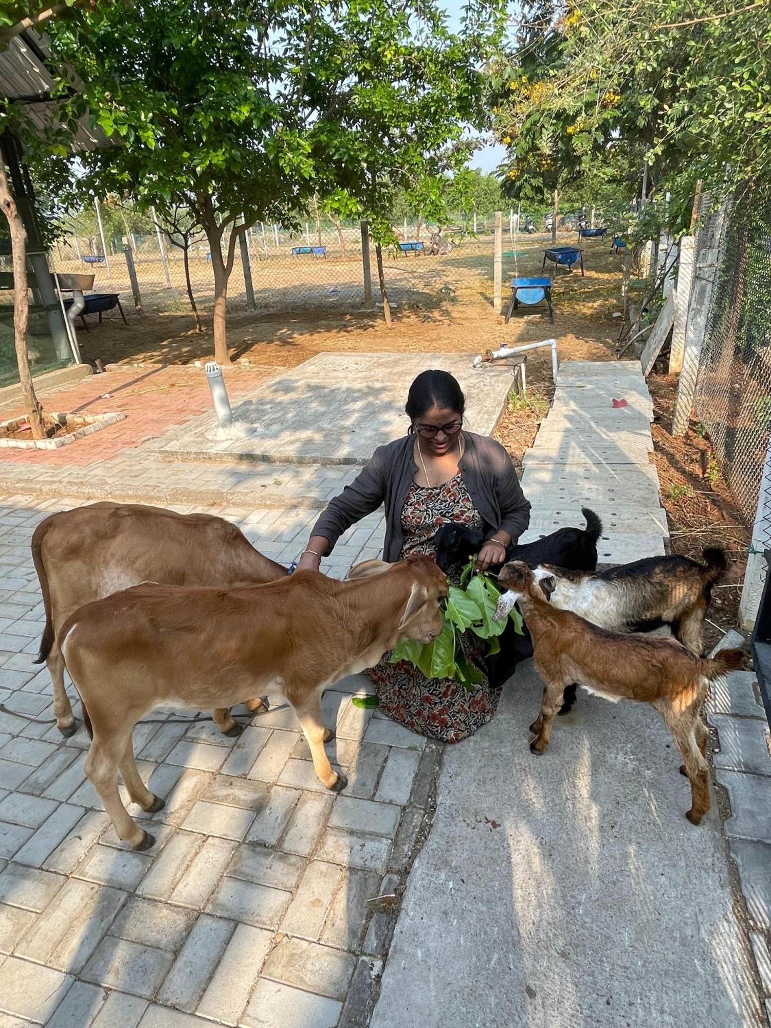 Marutham Village