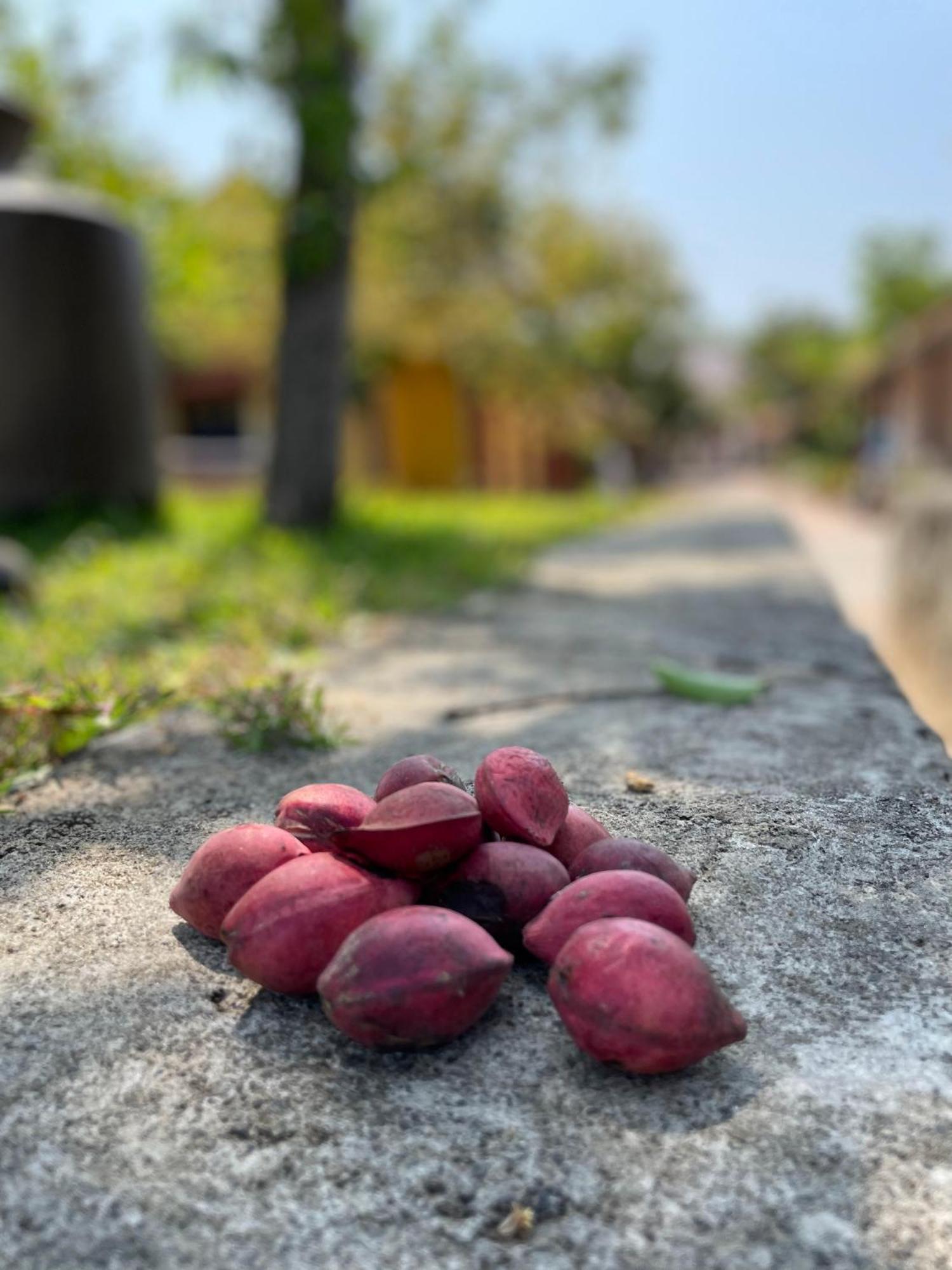 Marutham Village Mahabalipuram