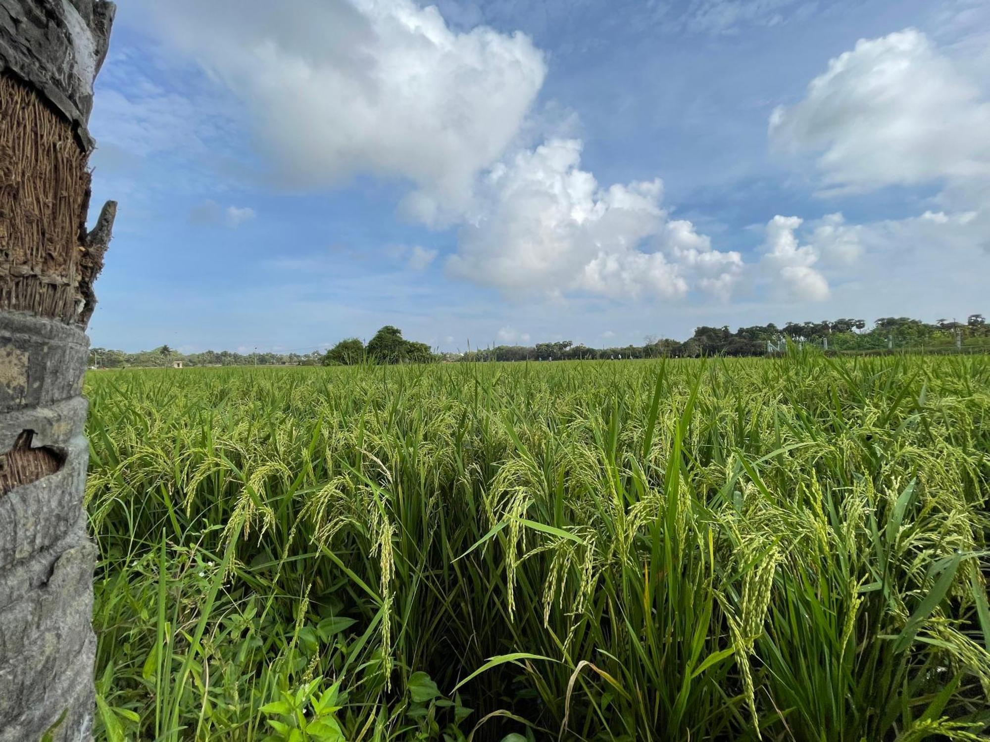 सहारा Marutham Village *